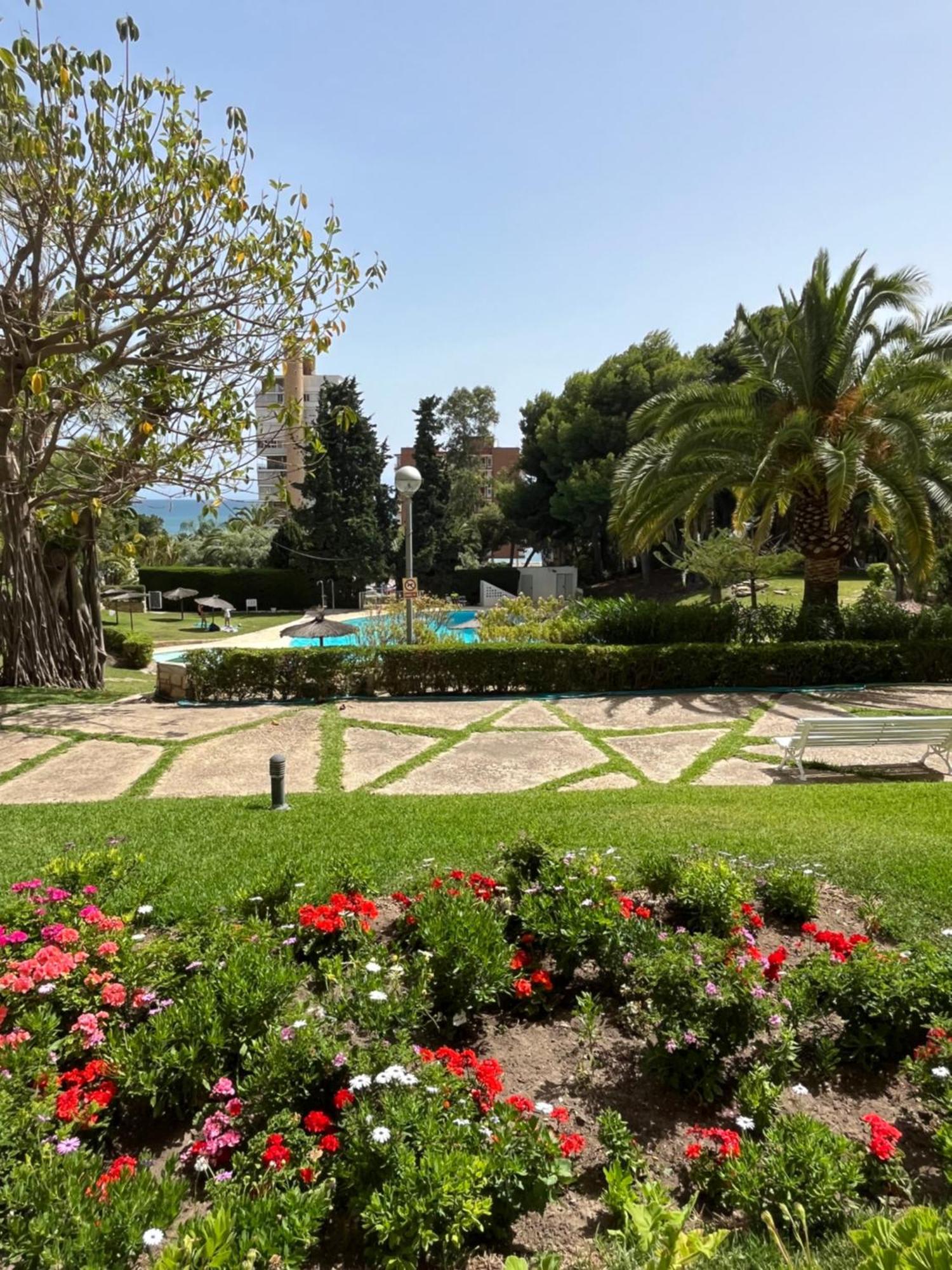 Parque La Chicharra Near Alicante And Beach Екстериор снимка
