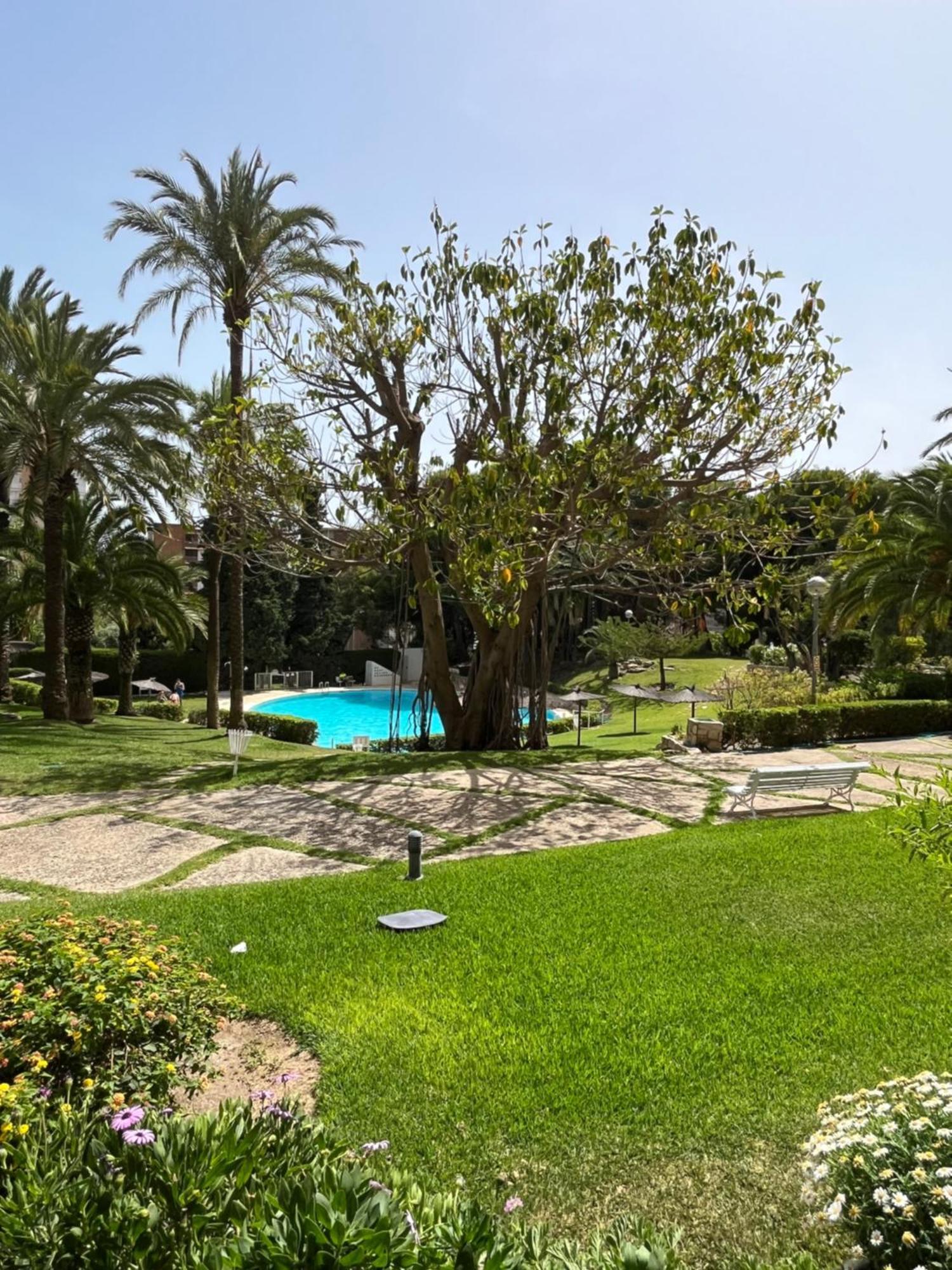 Parque La Chicharra Near Alicante And Beach Екстериор снимка